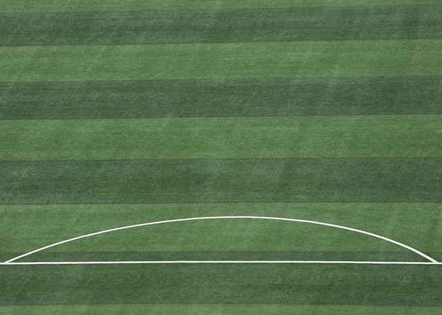 萨里：国米拥有意甲最强的阵容，全欧比他们更强的队寥寥无几