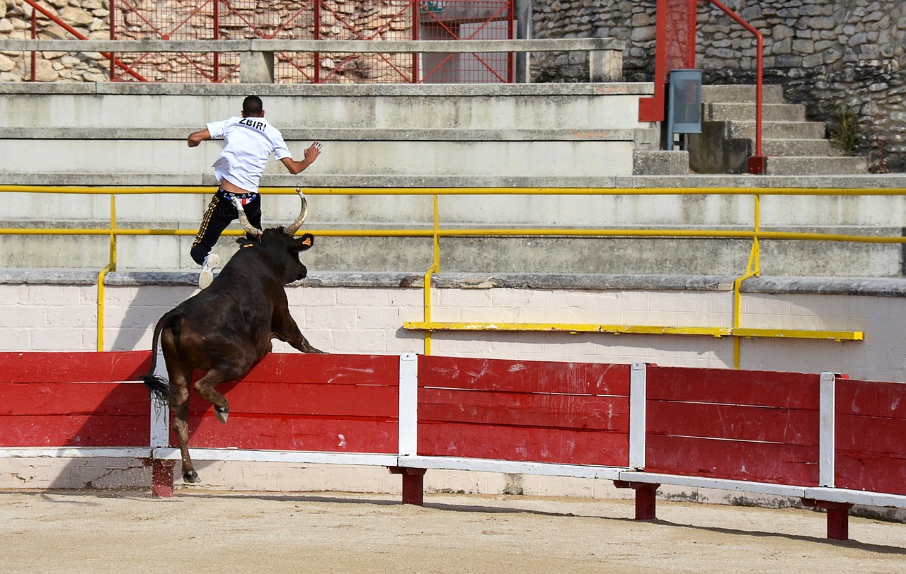 他们收到的