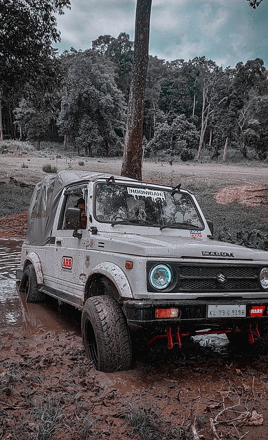 已经成为整 已经成为整