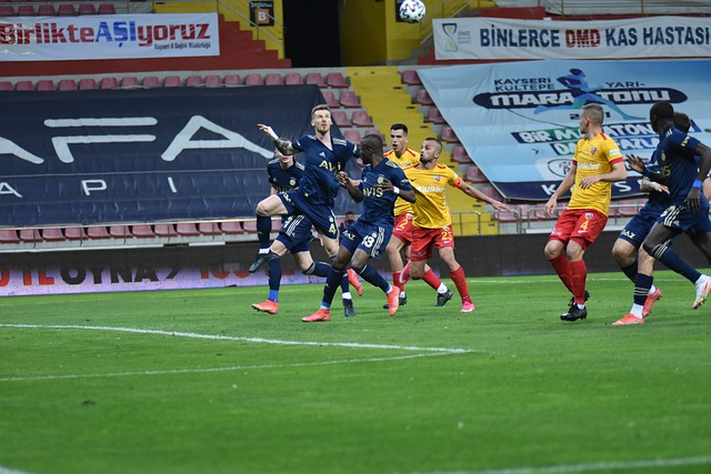 他的全面表 他的全面表