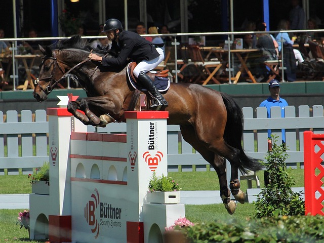 未来的愿景 未来的愿景