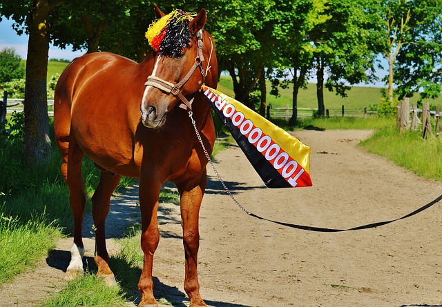 无论是一线 无论是一线