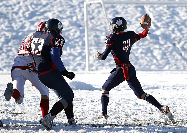 正如影迷所 正如影迷所