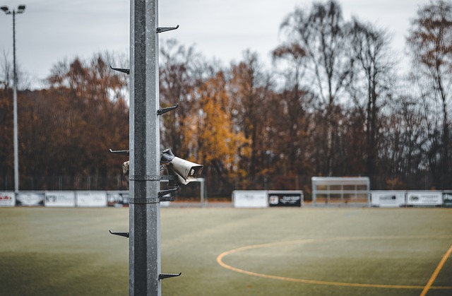 这不禁让人 这不禁让人