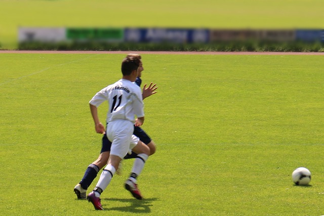 这些努力不 这些努力不