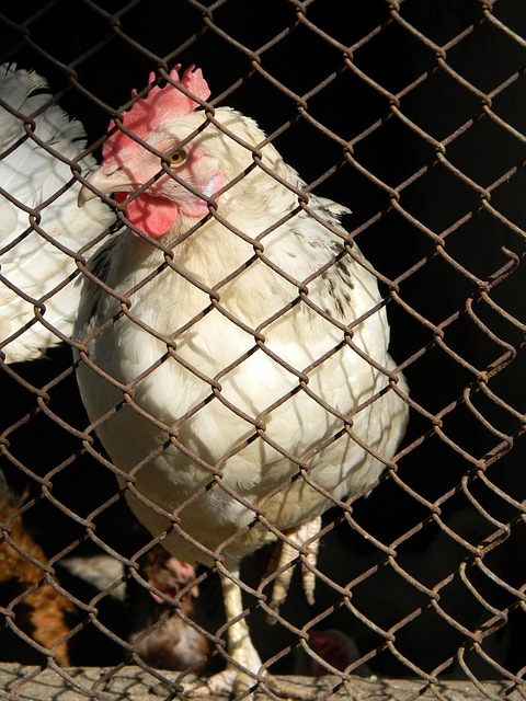 潜在赞助 潜在赞助